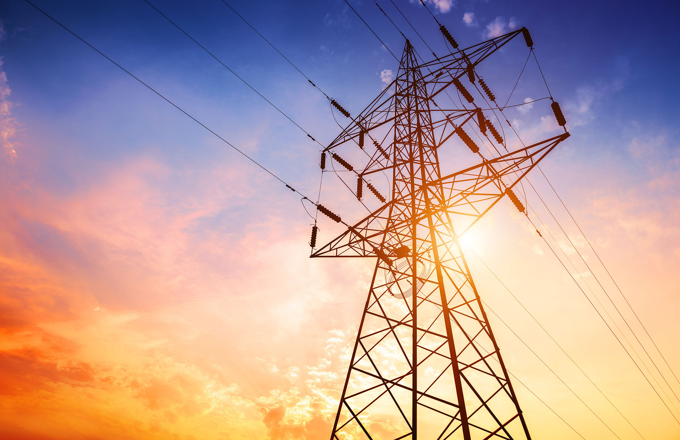 Part of a power line seen from the ground.