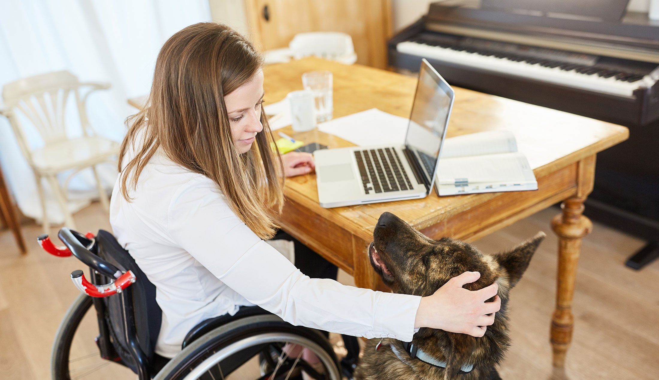 Hemmakontor. Vid ett köksbord sitter en rullstolsburen kvinna och klappar en schäferhund.