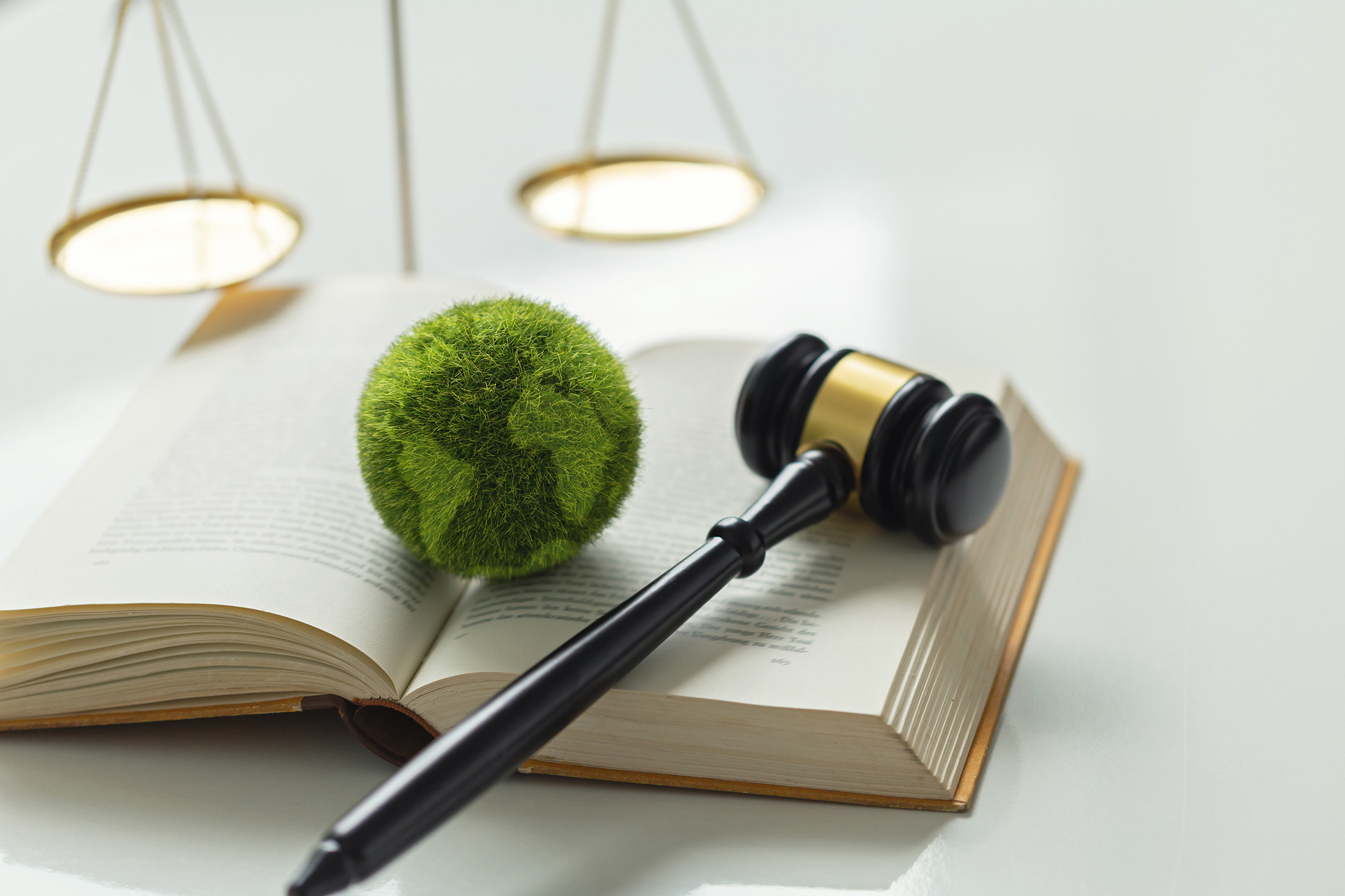 A law book and a small green globe together with a scale and a gavel.